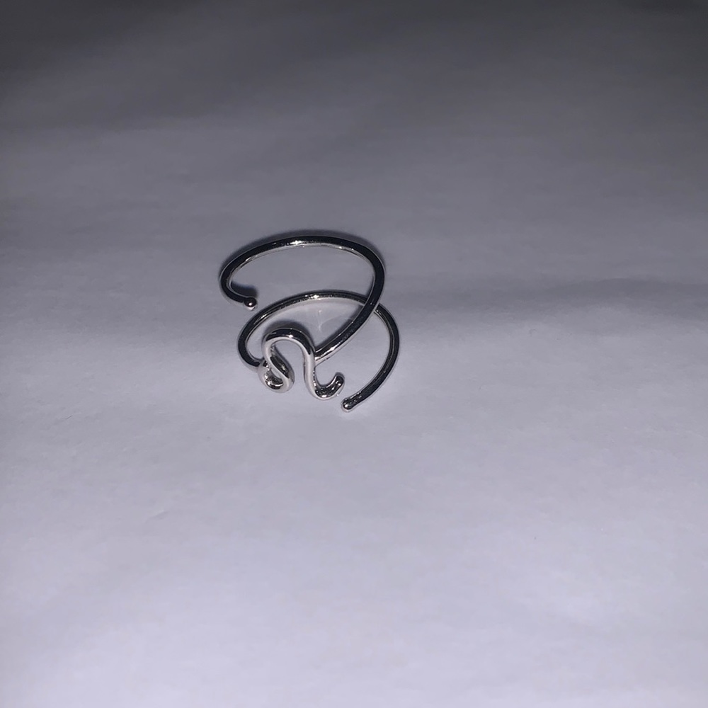 silver Leo ring